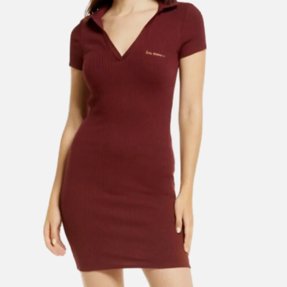 iets Fran’s Ribbed Polo Purple Minidress Urban Outfitters Size Medium